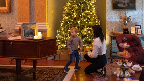 Visitors looking at a Christmas tree at Killerton